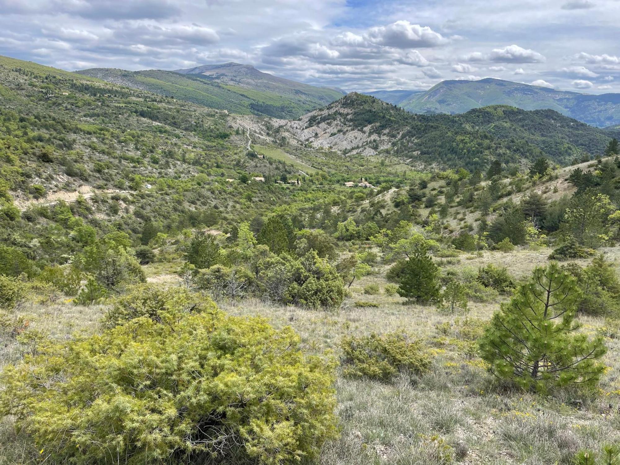 La Maison De Vergol Montbrun-les-Bains Bagian luar foto